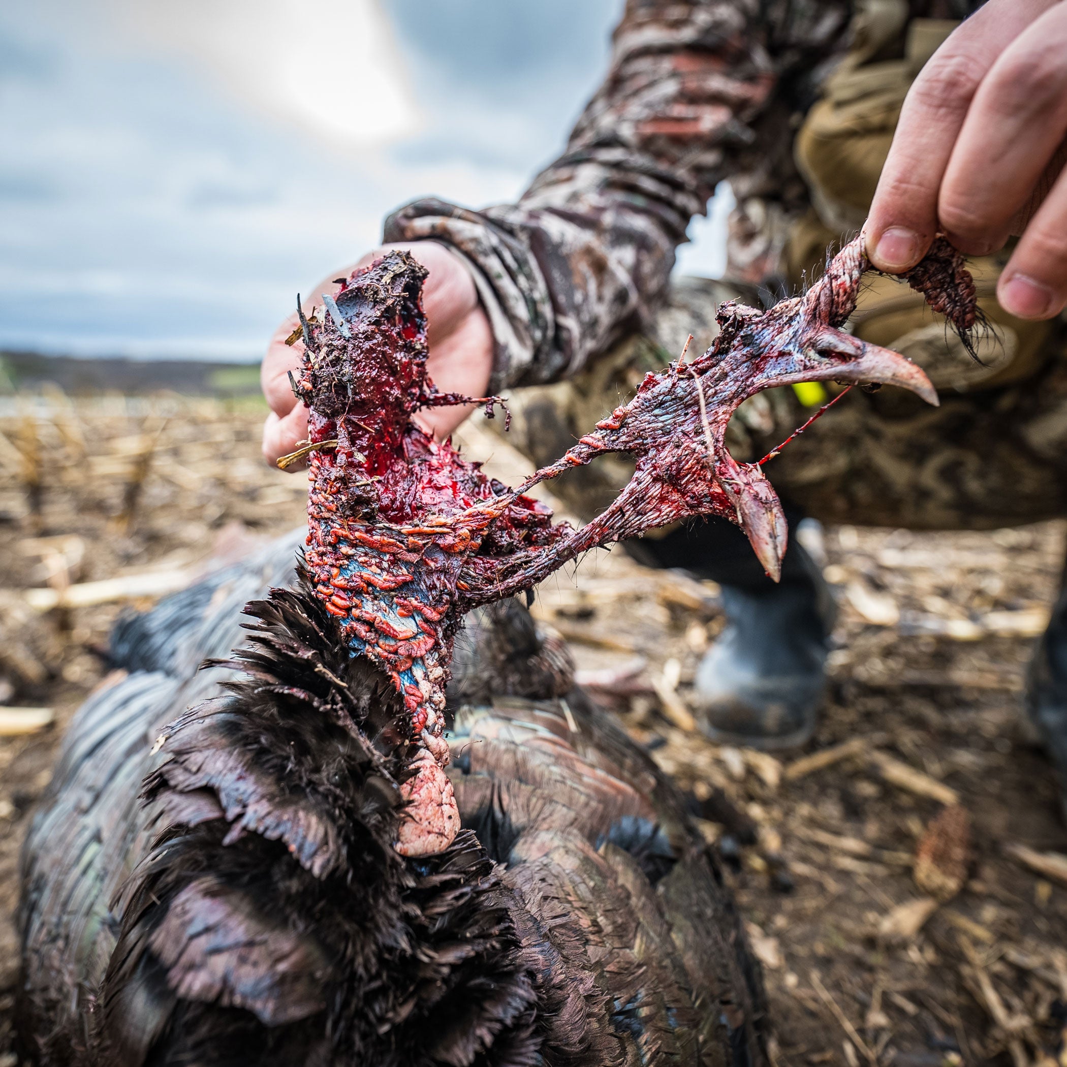 Turkey Decapper System