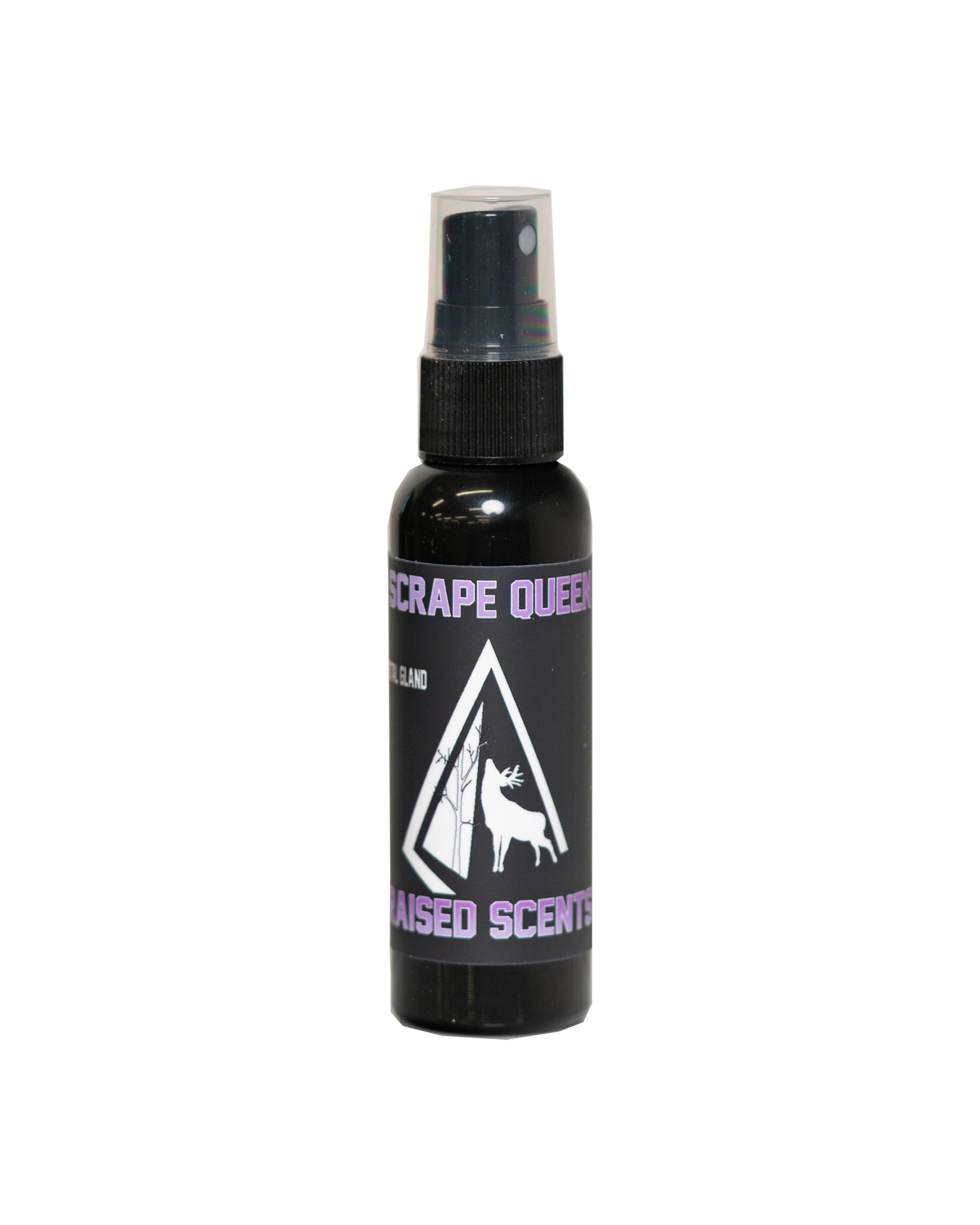 Scrape Queen